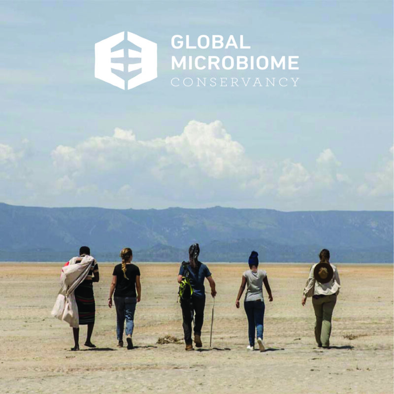 Scientists walking through a dried lake bed