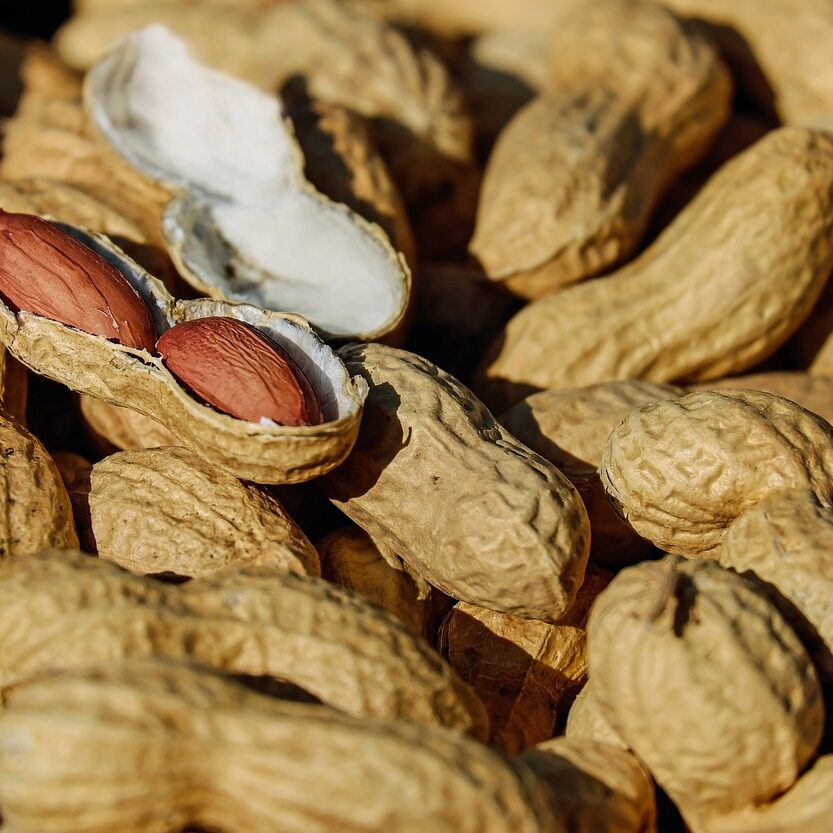 nuts-1736520_1280